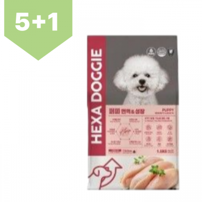 5+1증정! [헥사도기] 퍼피 (4.8kg) 