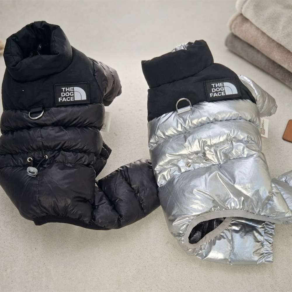 [패션독]  NEW 독페이스 패딩 바지 (S-2XL)